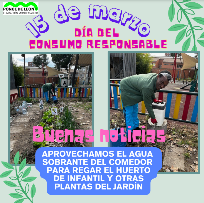 día consumido responsable